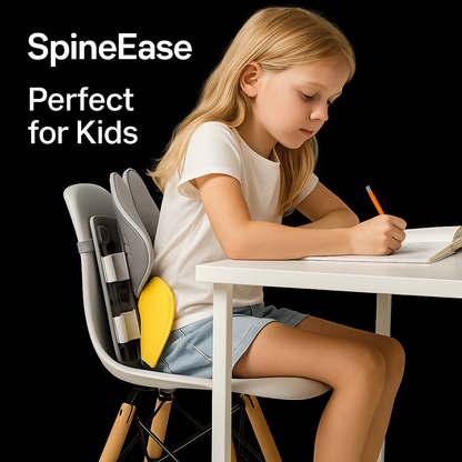 SpineEase ergonomic back support