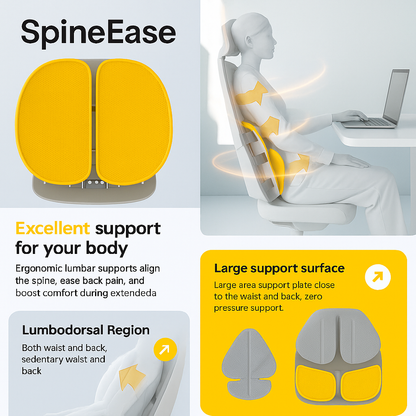 SpineEase ergonomic back support
